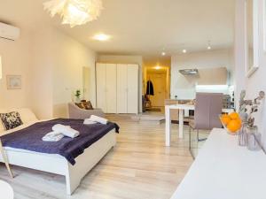 Pronájem bytu 1+kk, Brno, Veveří, 40 m2