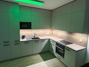 Pronájem bytu 3+kk, Liberec, Na Perštýně, 70 m2