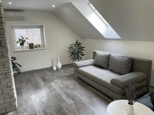 Prodej rodinného domu, Šardice, 300 m2