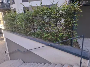 Pronájem kanceláře, Praha - Žižkov, Olgy Havlové, 71 m2