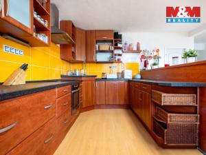 Prodej rodinného domu, Nechanice - Staré Nechanice, 236 m2