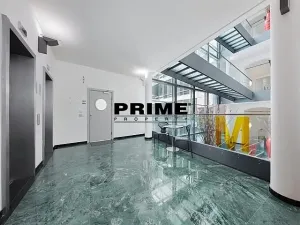 Pronájem kanceláře, Praha - Nové Město, Krakovská, 412 m2