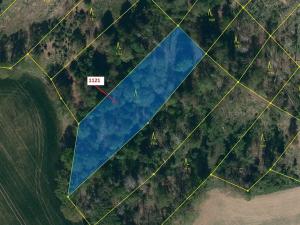 Dražba lesa, Náměšť nad Oslavou, 2998 m2