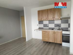 Pronájem bytu 1+kk, Příbram - Příbram VIII, Čechovská, 24 m2