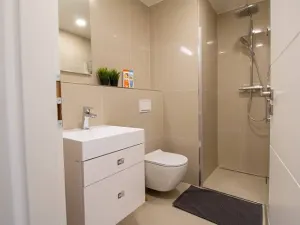 Pronájem bytu 2+kk, Praha - Vinohrady, Perucká, 45 m2