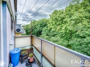 Prodej bytu 4+1, Hradec Králové, Jungmannova, 97 m2