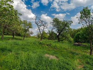 Prodej pozemku pro bydlení, Veliny, 3712 m2