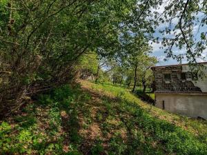 Prodej pozemku pro bydlení, Veliny, 3712 m2