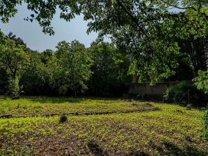 Prodej pozemku pro bydlení, Choceň, Tocháčkův kopec, 1926 m2