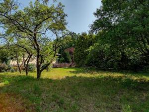 Prodej pozemku pro bydlení, Choceň, Tocháčkův kopec, 1926 m2