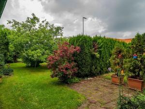 Prodej zemědělské usedlosti, Nová Sídla, 327 m2