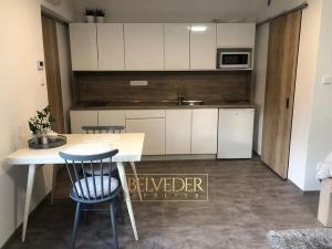 Pronájem bytu 1+kk, Teplice, Rokle, 32 m2