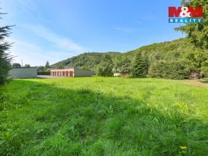 Prodej pozemku pro bydlení, Loučná nad Desnou - Kociánov, 8815 m2