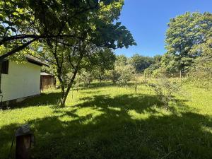 Prodej chaty, Orlová - Město, Dr. M. Tyrše, 28 m2