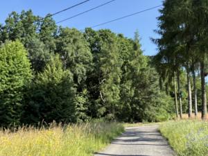 Pronájem louky, Ostrava - Polanka nad Odrou, K Lípě, 9850 m2