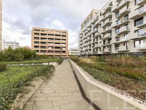 Pronájem bytu 1+kk, Praha - Vysočany, Fafkových, 37 m2