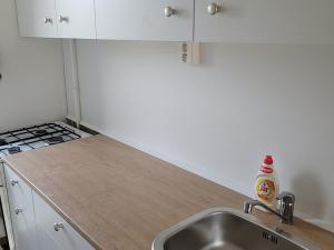 Pronájem bytu 3+kk, Bílina - Újezdské Předměstí, 5. května, 59 m2