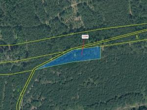 Dražba lesa, Jesenice, 1636 m2