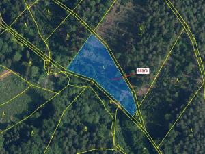 Dražba lesa, Jílové u Držkova, 3532 m2