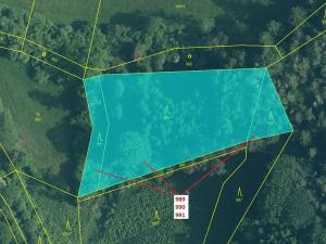 Dražba lesa, Rabí, 4276 m2