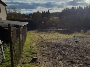 Prodej pozemku pro bydlení, Zásada, 1039 m2