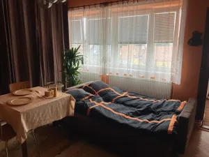 Pronájem bytu 1+kk, Prostějov, Vrahovická, 60 m2