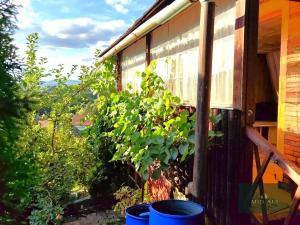 Prodej chaty, Těšovice, 35 m2