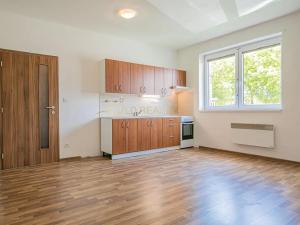 Pronájem bytu 1+kk, Olomouc, Edisonova, 35 m2
