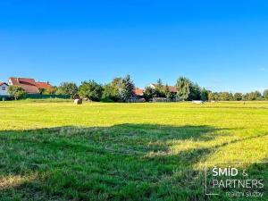 Prodej pozemku pro bydlení, Labské Chrčice, 700 m2