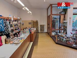 Prodej atypického bytu, Lázně Libverda, 120 m2