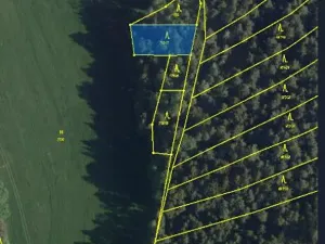 Prodej lesa, Kojčice, 1102 m2