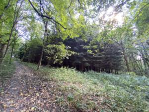 Prodej lesa, Lánov - Horní Lánov, 15996 m2