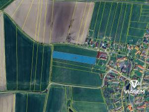 Prodej zahrady, Slabčice, 6749 m2