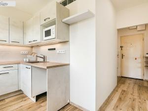 Prodej bytu 2+1, Brno - Štýřice, Renneská třída, 57 m2