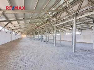Prodej výrobních prostor, Dolní Chvatliny, 3690 m2