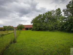 Prodej zemědělské usedlosti, Řepníky, 230 m2