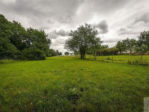 Prodej zemědělské usedlosti, Řepníky, 230 m2