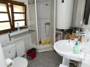 Prodej zemědělské usedlosti, Řepníky, 230 m2