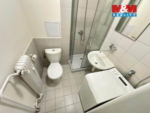 Pronájem bytu 1+1, Mladá Boleslav - Mladá Boleslav II, Václavkova, 29 m2