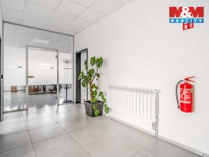 Pronájem kanceláře, Děčín - Děčín II-Nové Město, Benešovská, 320 m2