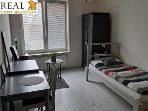 Pronájem bytu 1+kk, Brno, Pražská, 23 m2