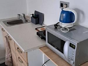 Pronájem bytu 1+kk, Brno, Pražská, 23 m2