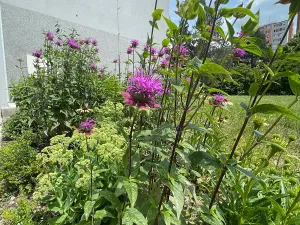 Prodej bytu 2+kk, Praha - Kamýk, Rytířova, 44 m2