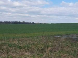 Dražba zahrady, Plzeň, 7558 m2