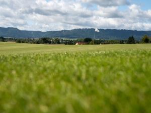 Prodej komerční, Broumov - Velká Ves, Kladská