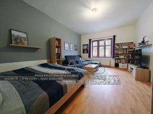 Pronájem bytu 1+1, České Budějovice, Husova tř., 40 m2