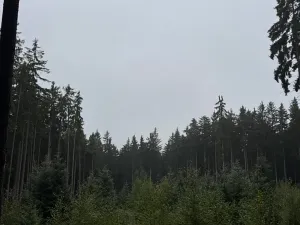 Prodej podílu pole, Nicov, 2230 m2