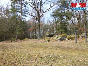 Prodej lesa, Petrovice - Žemličkova Lhota, 3719 m2