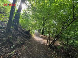 Prodej chaty, Zbečno, 25 m2