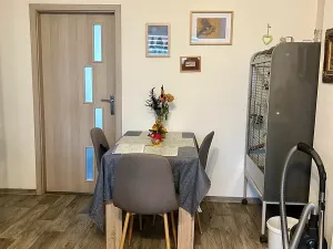 Prodej bytu 3+1, Žatec, Hájkova, 61 m2